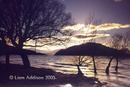 Lake Wanaka, winter evening 7/04